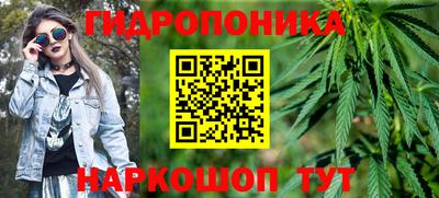 дживик Бийск