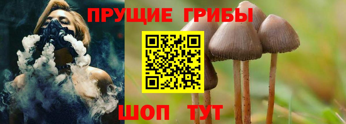 Галлюциногенные грибы Cubensis Жуковский